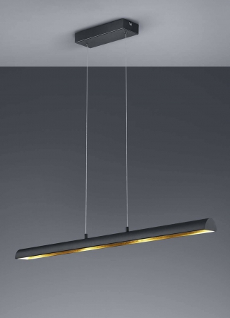 LED lampen RAMIRO LED Hanglamp Zwart by Trio Leuchten C376410402