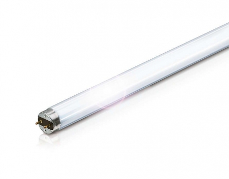 Lichtbronnen T8 TL-D 36W (=180W) 120CM 865 Daglicht Wit Master Super 80 by Philips
