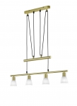CARICO LED Hanglamp Messing mat by Trio Leuchten 371510408