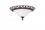 Serie 6102  Plafondlamp Trio Leuchten 6102021-24