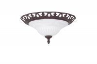 Serie 6102  Plafondlamp Trio Leuchten 6102021-24