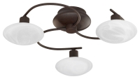 Serie 6380  Plafondlamp Trio Leuchten 6380031-24