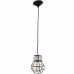 Wired Trendy hanglamp Zwart by Steinhauer 7788ZW