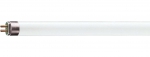 TL5 49W (=245W) 145CM 830 Warm Wit Master TL5 by Philips