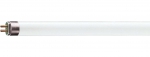 TL5 54W (=270W) 115CM 865 Daglicht Wit Master TL5 by Philips