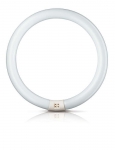T8 TL-E RING 32W (=160w) 4-PINS 25CM Diameter 830 Warm Wit by Philips