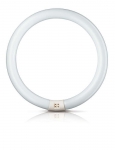 T8 TL-E RING 40W (=200w) 4-PINS 35CM Diameter 840 Koud Wit by Philips