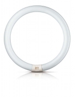 T8 TL-E RING 32W (=160w) 4-PINS 25CM Diameter 830 Warm Wit by Philips