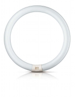 T8 TL-E RING 32W (=160w) 4-PINS 25CM Diameter 840 Koud Wit by Philips